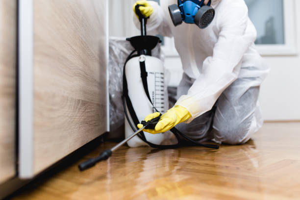 Best Affordable Pest Control Services  in Sixteen Mile Stand, OH