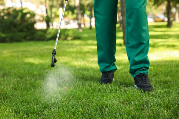 Best Best Pest Control Companies  in Sixteen Mile Stand, OH