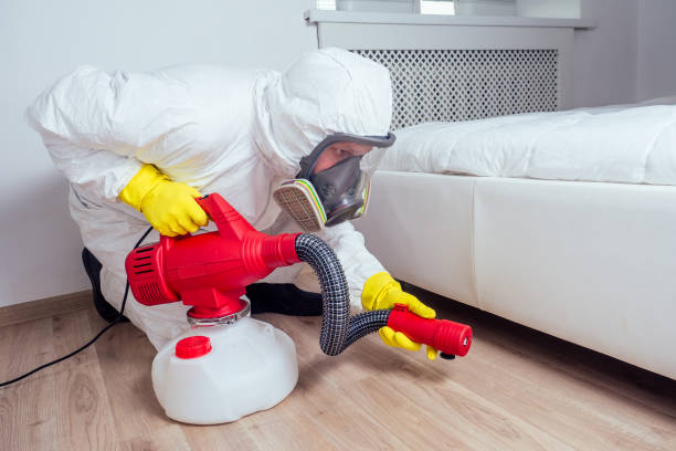 Trusted Sixteen Mile Stand, OH Pest Control Experts