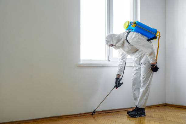 Best Affordable Pest Control Services  in Sixteen Mile Stand, OH