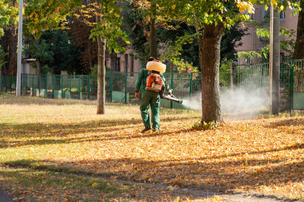 Best Pest Removal Services  in Sixteen Mile Stand, OH