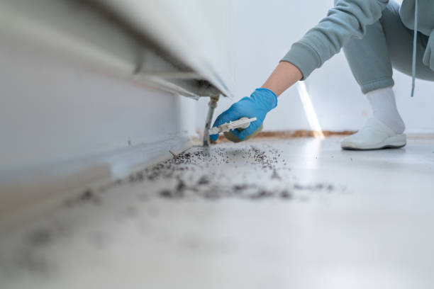 Best Emergency Pest Control  in Sixteen Mile Stand, OH