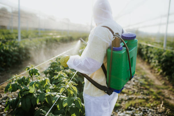 Best Pest Inspection Near Me  in Sixteen Mile Stand, OH